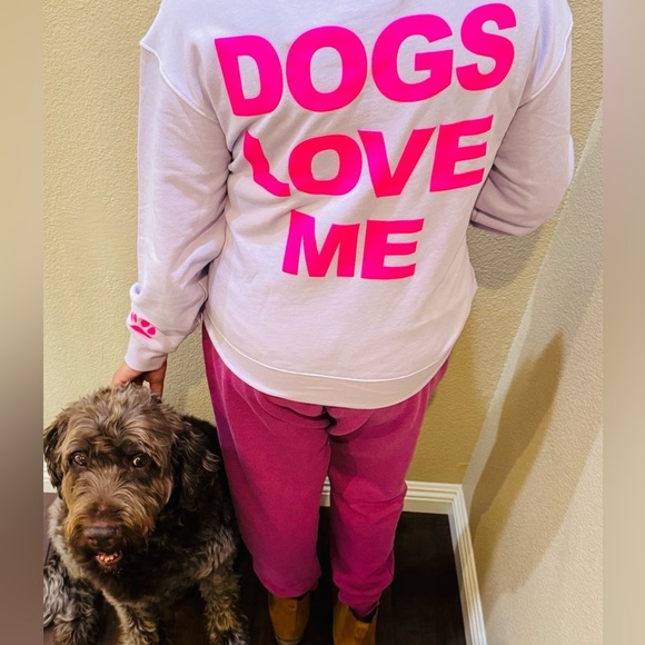 Wildfox Other - WILDFOX  'Dogs Love Me' Sweatshirt